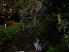 -白马涧龙池景区