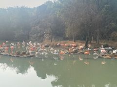 -宁波野生动物园