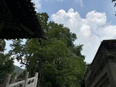 -潭柘寺景区