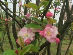 -白鹭湾湿地公园