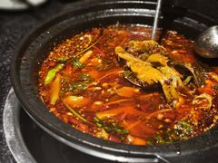 -小饕荟雅安贡椒鱼鲜馆(广福桥店)