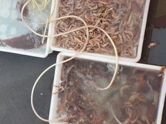 -海滨假日渔家海鲜