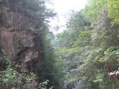 -黑河国家森林公园