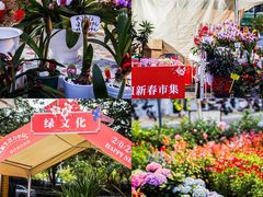 -万科生活广场(东莞松山湖店)