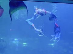 -福州罗源湾海洋世界旅游区