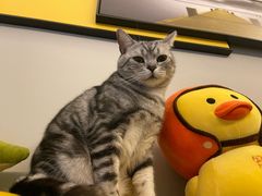 -菜园坝水果市场
