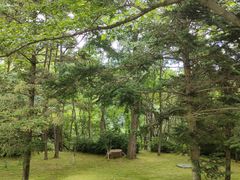 -棒棰岛宾馆景区