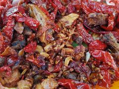 -柴窝堡22号辣子鸡·传承新疆菜