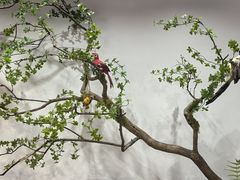 -隐厨·海鲜大排档·地道莱州菜(恒通路店)