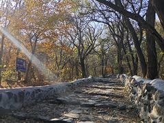 -阳台山自然风景区