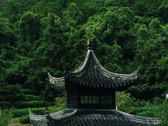 -九龙潭景区