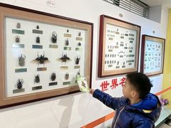 -上海昆虫博物馆