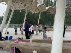-东湖公园