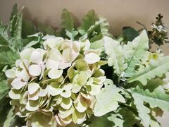 -Dragonfly悠庭·按摩Spa(静安嘉里中心店)