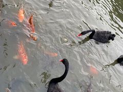 -南宁市动物园