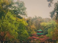 -岳麓山风景名胜区