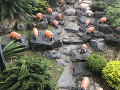 -东芭乐园