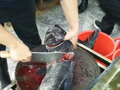 -小北江河鲜(新城店)