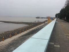 -瀛洲公园