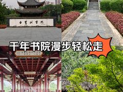 -白鹭洲书院