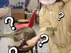 -ID.PHOTO照相馆(嘉里企业中心店)