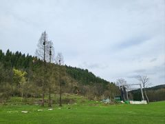 -武陵山森林公园
