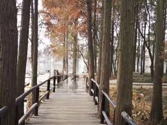 -东湖落雁景区