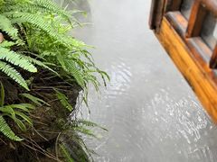 -大妙火锅·非物质文化遗产(东湖公园店)