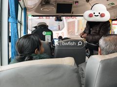 -尧坝古镇