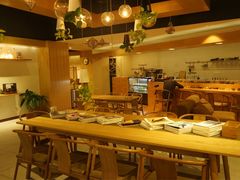 -柴务处·柴犬主题狗咖