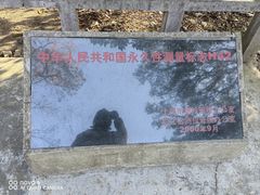 -上海佘山国家森林公园天马山园