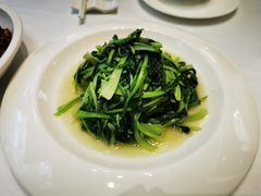 清炒鸡毛菜-乾隆美食·本帮菜(黄河路店)