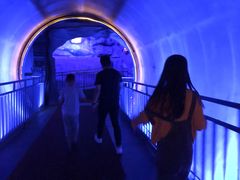 -郑州方特梦幻王国