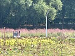 -永定河休闲森林公园