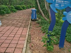 -广东惠东海龟国家级自然保护区