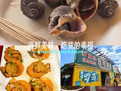 -罗源湾8号渔排