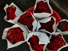 -循礼门鲜花花市(武汉循礼门店)