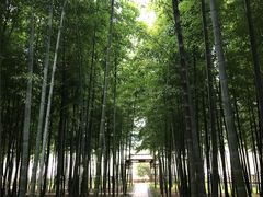 -龙寺生态园
