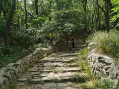 -阳台山自然风景区