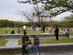 -蠡湖大桥公园