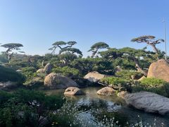 -罗红摄影艺术馆