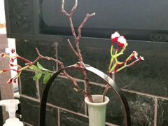 -绿茶餐厅(平谷华联店)