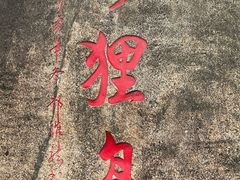 -野狸岛