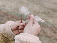 -盘龙城国家考古遗址公园