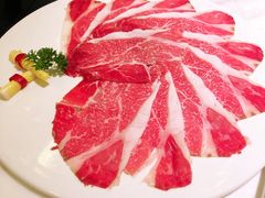 -汤城·料青山