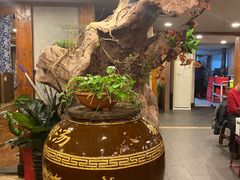 -七菜馆·东北菜·蒸饺(文体路店)