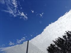 -白鹤梁水下博物馆
