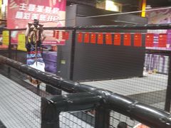 -Tenker Club弹刻极限主题公园 · 蹦床 · 团建 · 生日派对(大关店)