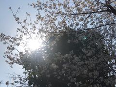 -两江幸福广场