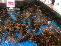 -盒马鲜生(189购物中心店)